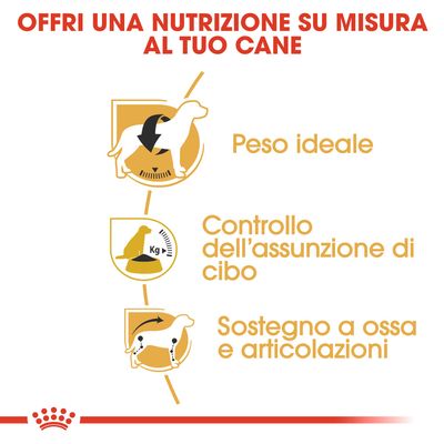 Royal Canin Beagle Adult 3kg - Crocchette per Cani Royal Canin Beagle Adult 3kg - Crocchette per Cani